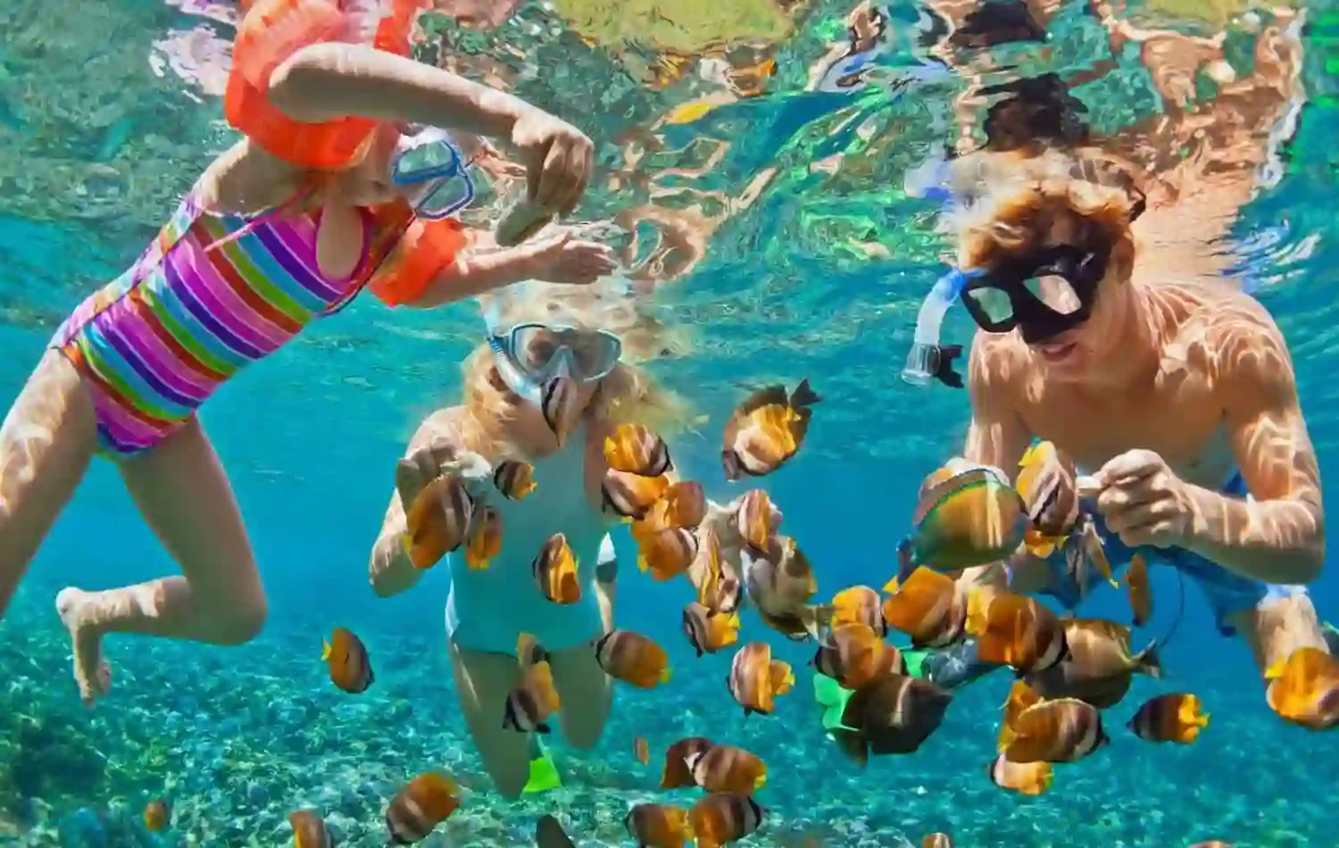 Cholo-Bay-coral-garden-Pemba-Island-Snorkeling-and-Diving