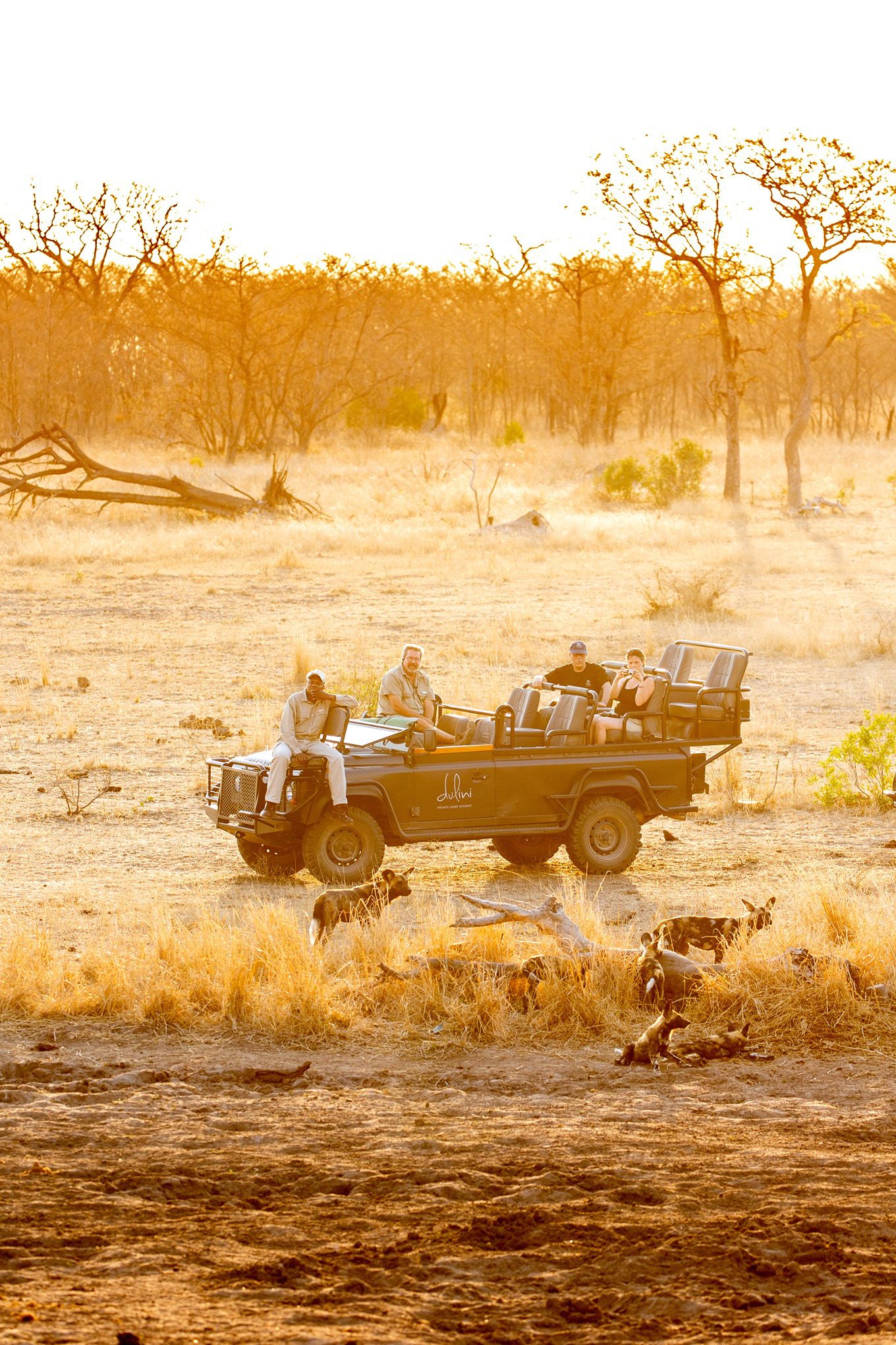Your Custom Safaris