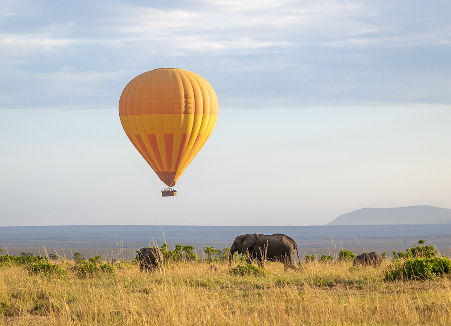 Wildlife, Biodiversity, and Cultural Encounters