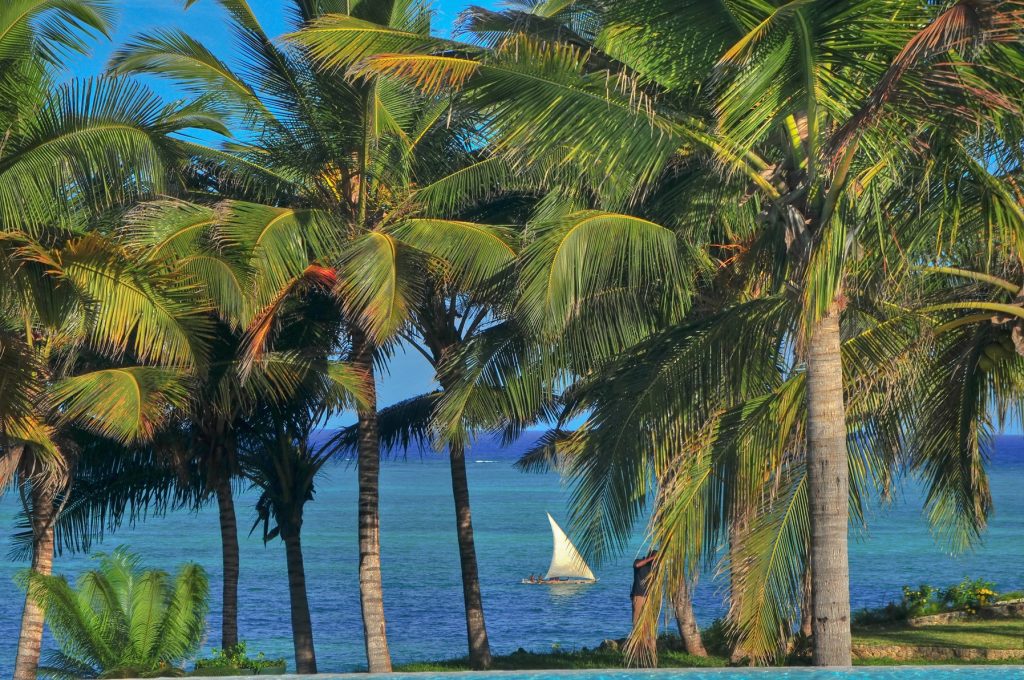 Safari and Beach: How to Plan an African Family Holiday That Gives You Both