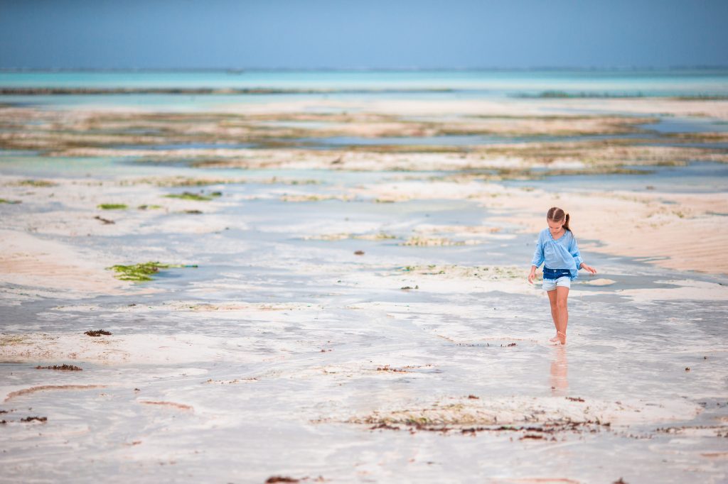 Safari and Beach: How to Plan an African Family Holiday That Gives You Both