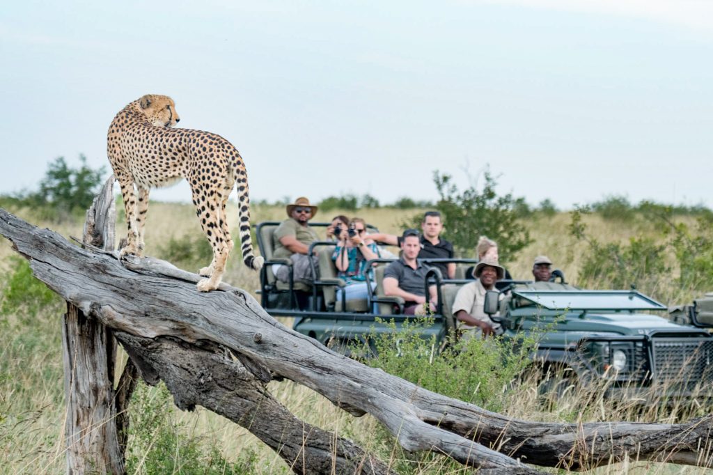 Frequently Asked Questions