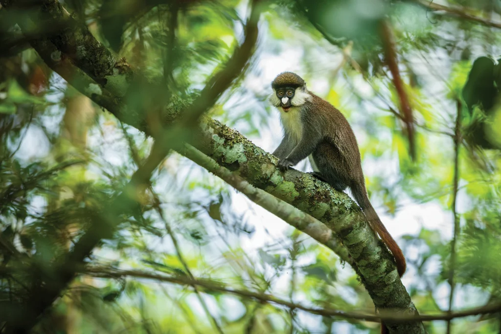 DSC_1974-Enhanced-NR