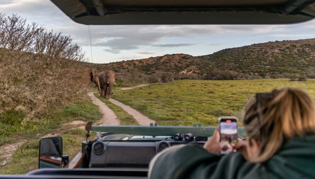 imgi_14_Amakhala Game Reserve1
