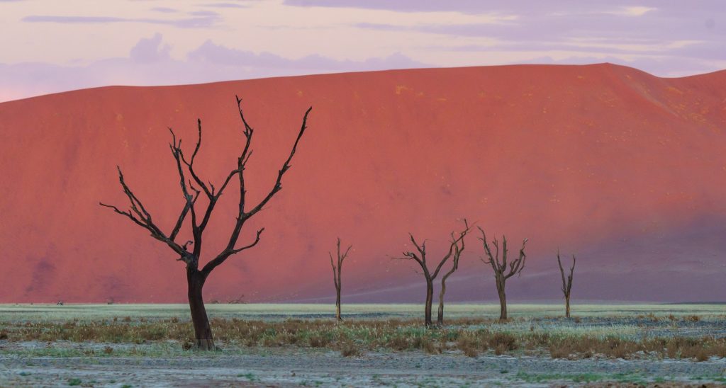 Let’s go to Namibia
