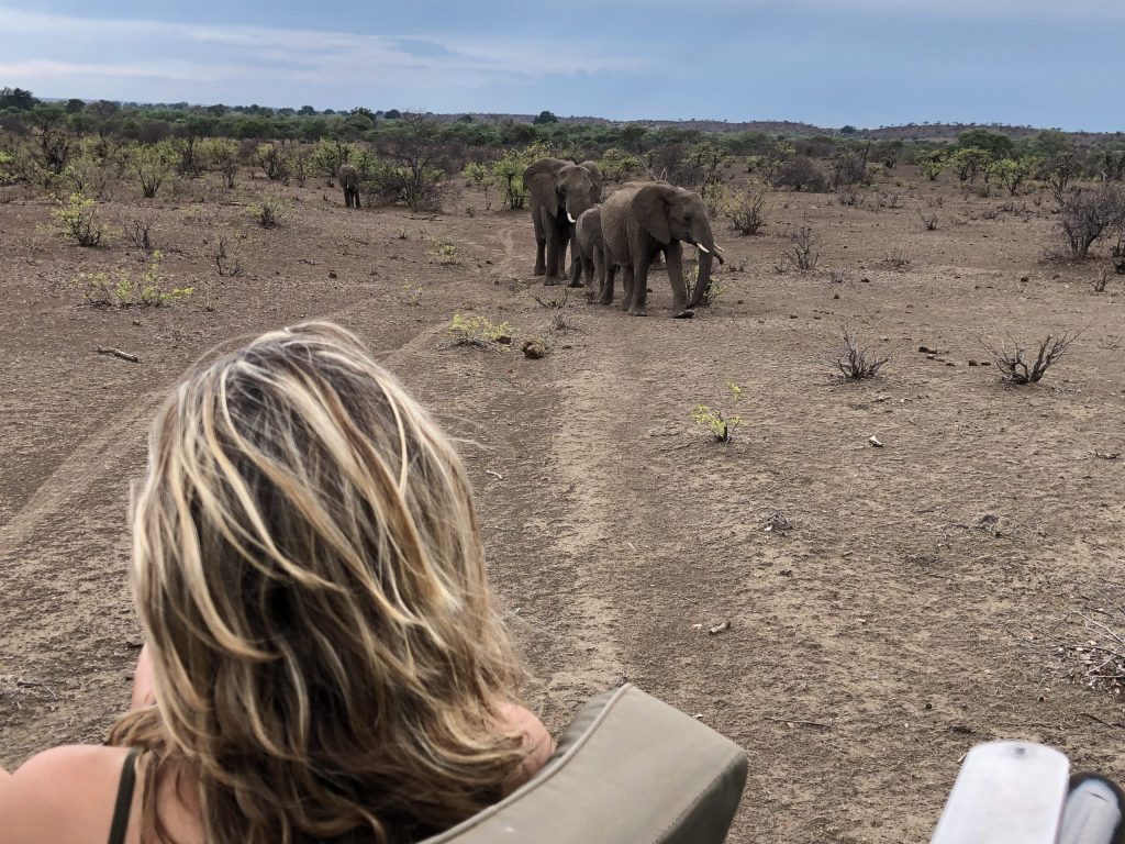 Frequently Asked Questions