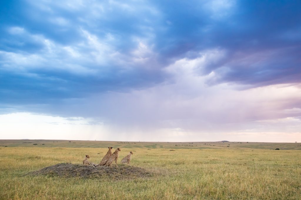 Let’s Go to Kenya 