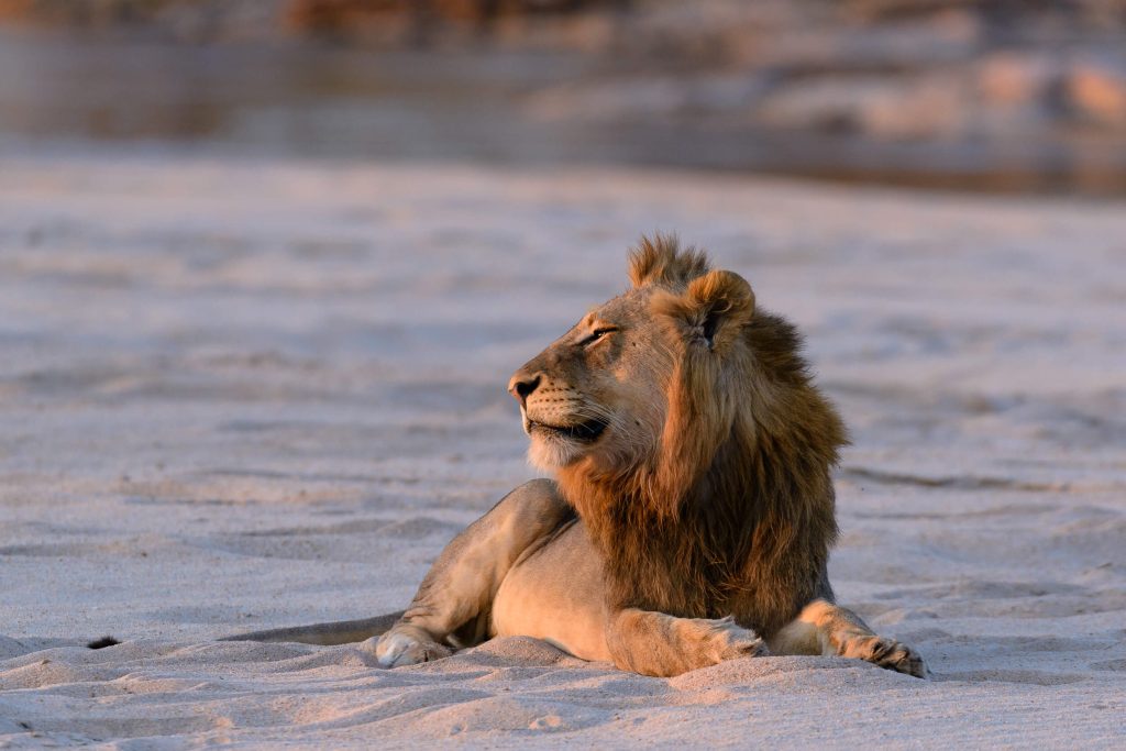 Frequently Asked Questions