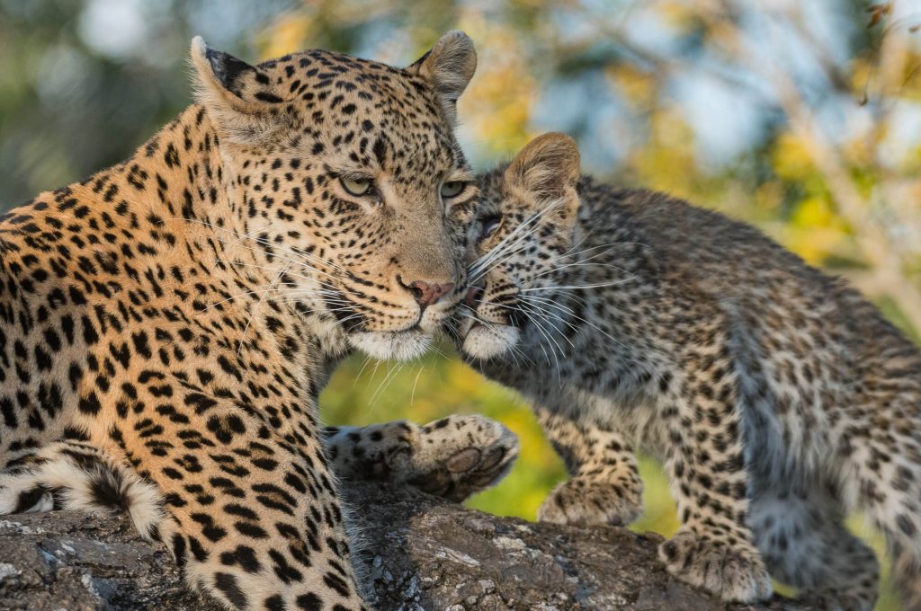 Why we fall in love with Africa Again and Again