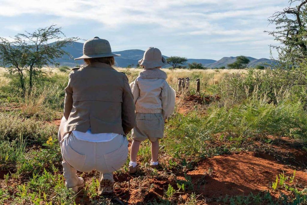 Let’s Go to South Africa