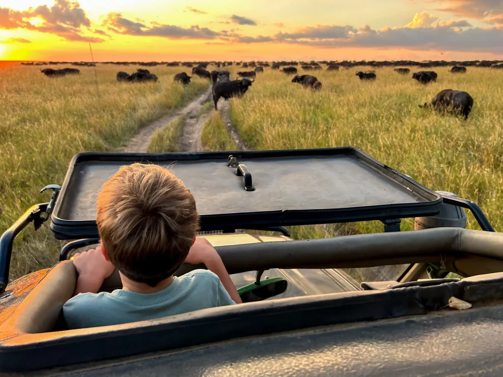 Planning Your First African Safari: Where to Begin