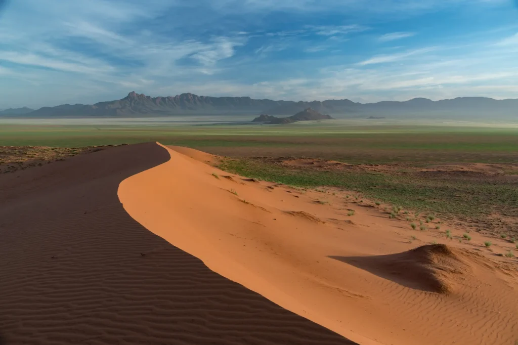 New Online Customs Declaration for South Africa: What You Need to Know Before You Travel