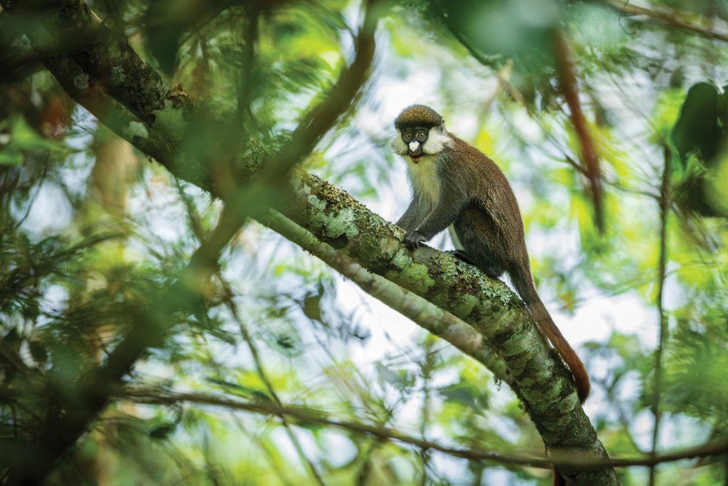 DSC_1974-Enhanced-NR