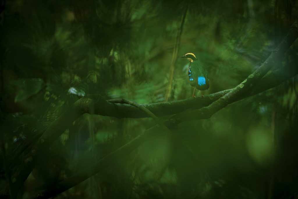 DSC_2197-Enhanced-NR