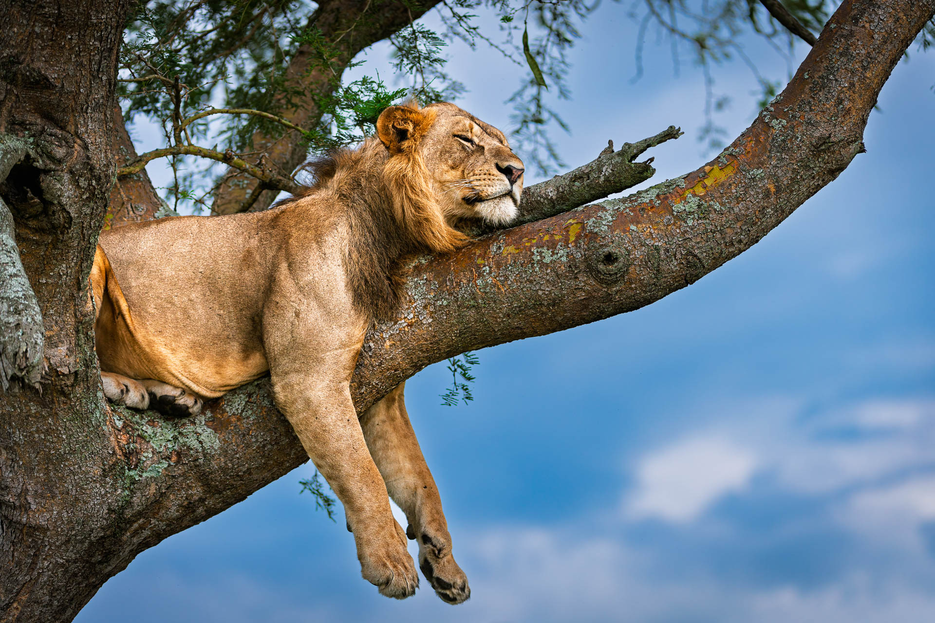 DSC_2707-DxO_DeepPRIME 3