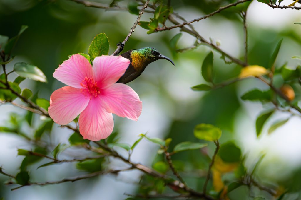 DSC_2812-DxO_DeepPRIME 3