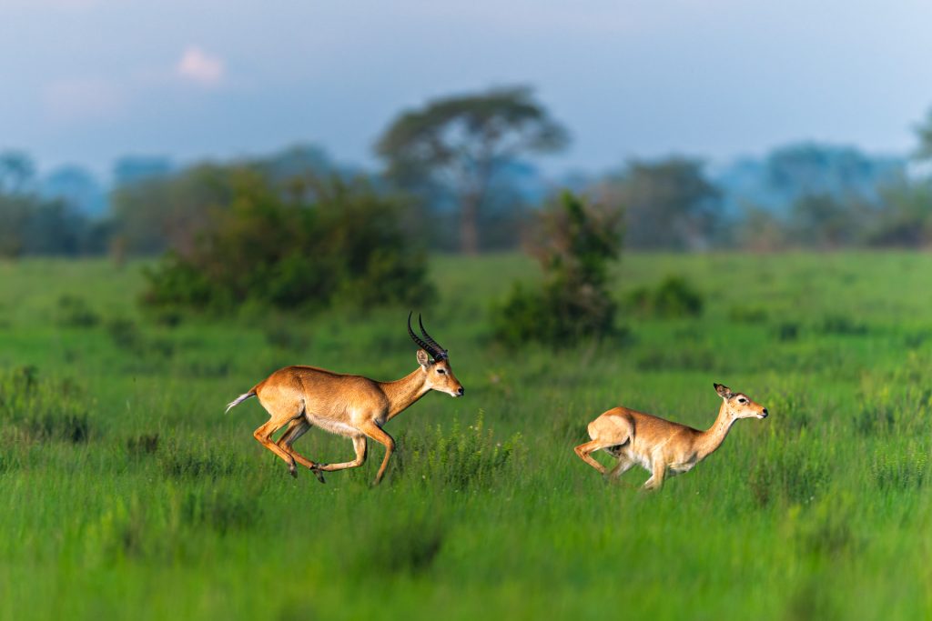 DSC_5302-DxO_DeepPRIME 3