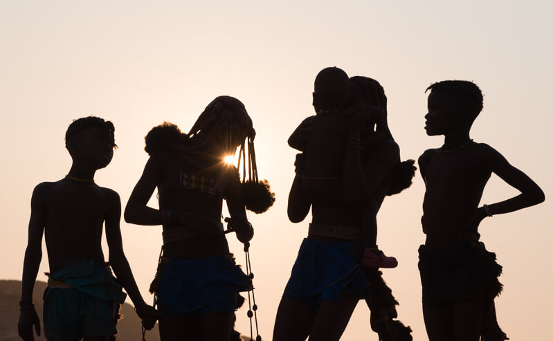 Why Our Safari Partnerships Matter