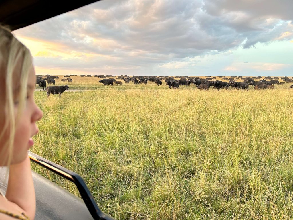 What It Means to Travel With Us