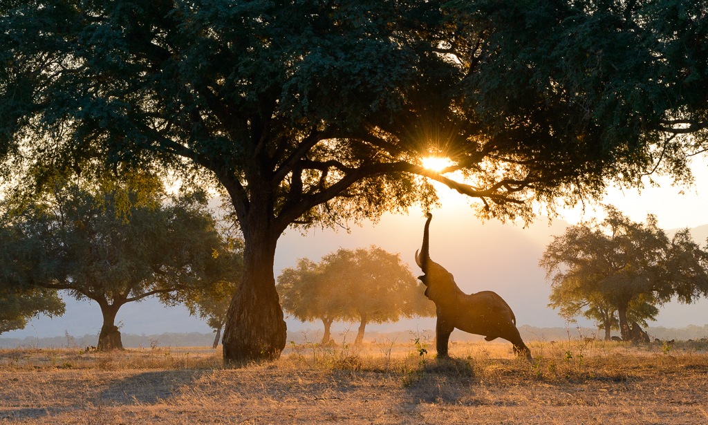 What Safari Feels Like Between Game Drives