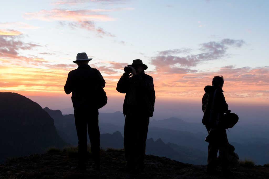 What Safari Feels Like Between Game Drives