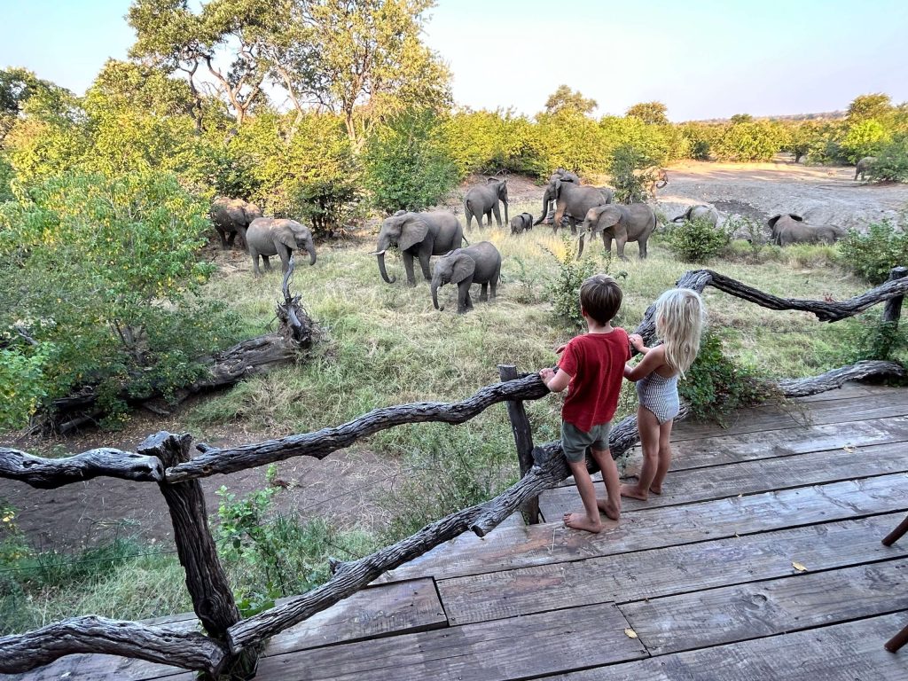 What Safari Feels Like Between Game Drives