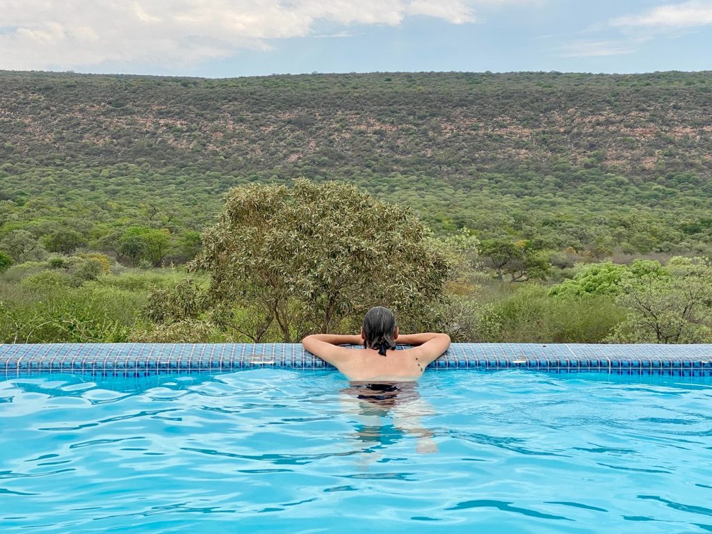 Planning an African Safari? 7 Reasons Families Choose a Safari Planner