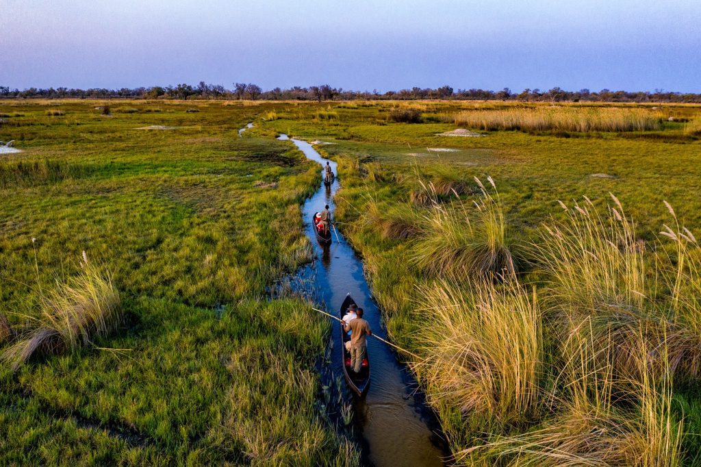 Planning Your First African Safari: Where to Begin